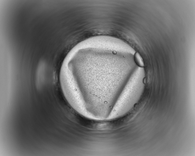 X0000096450173200802141519