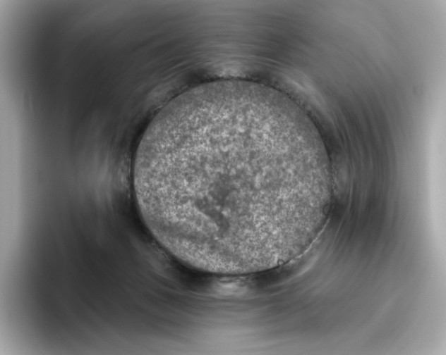 X0000096450175200802141519