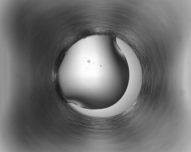 X0000096450176200802141519