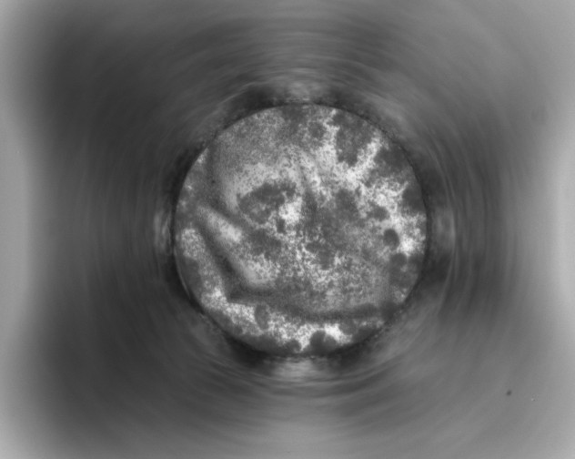 X0000096450177200802141519