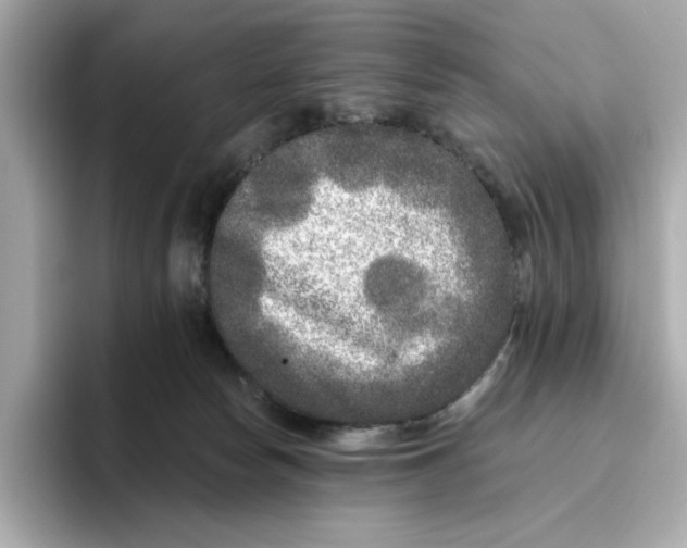 X0000096450178200802141519