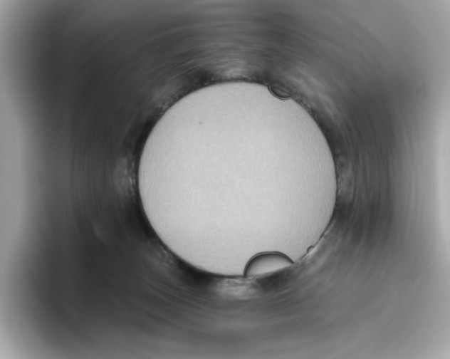 X0000096450179200802141519