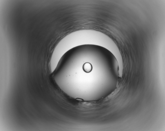 X0000096450180200802141519