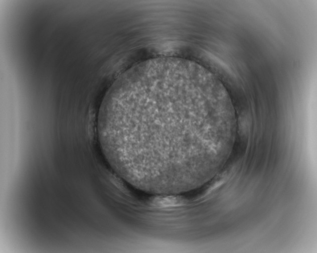 X0000096450181200802141519