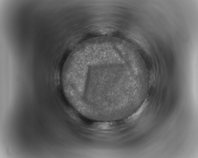 X0000096450182200802141519