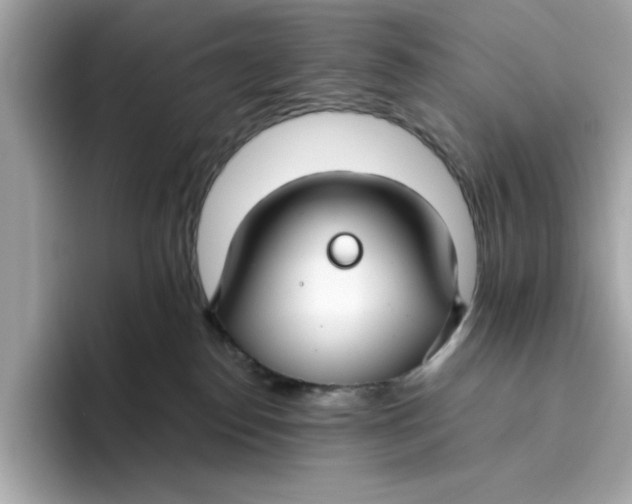 X0000096450186200802141519