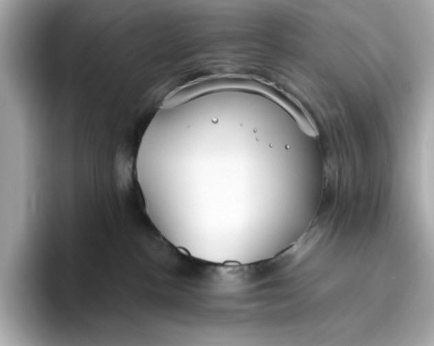 X0000096450188200802141519