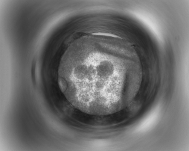 X0000096450189200802141519