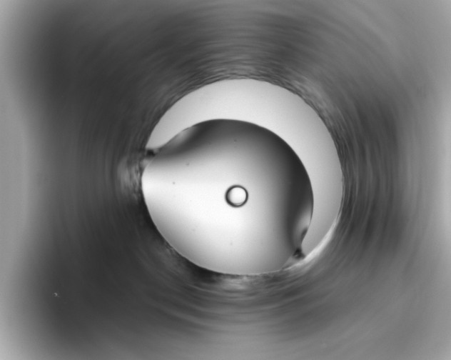 X0000096450190200802141519