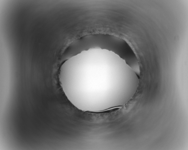 X0000096450192200802141519