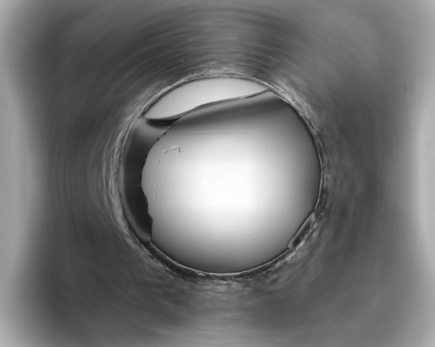 X0000096450193200802141519