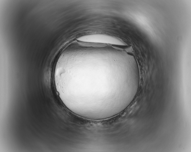 X0000096450194200802141519