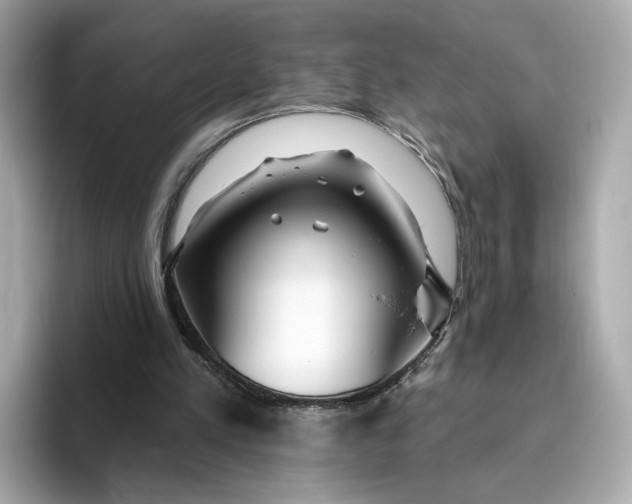 X0000096450197200802141519