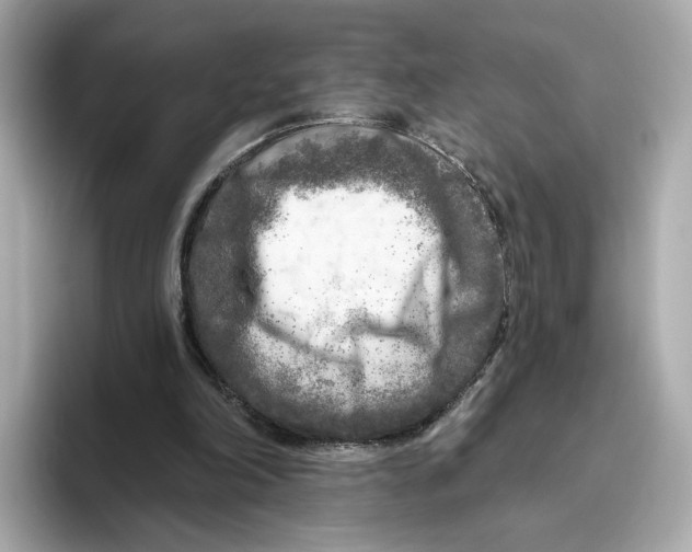 X0000096450198200802141519