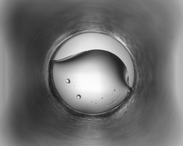 X0000096450199200802141519