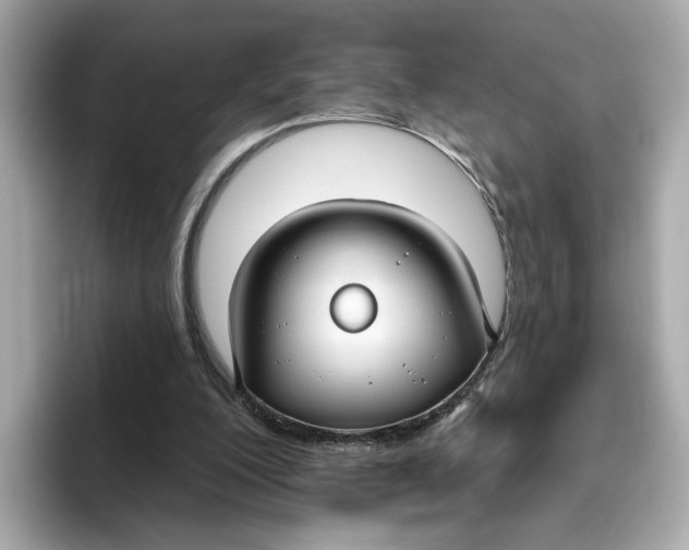 X0000096450200200802141519