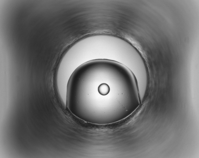 X0000096450201200802141519