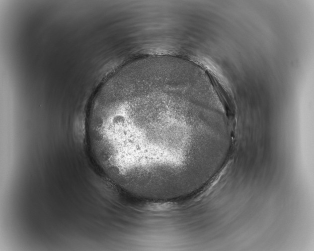 X0000096450202200802141519