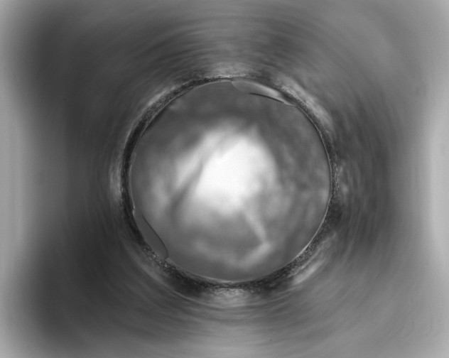 X0000096450203200802141519