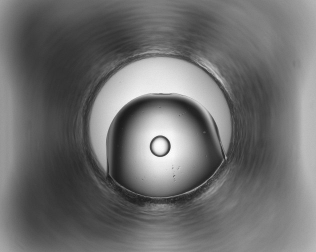 X0000096450205200802141519