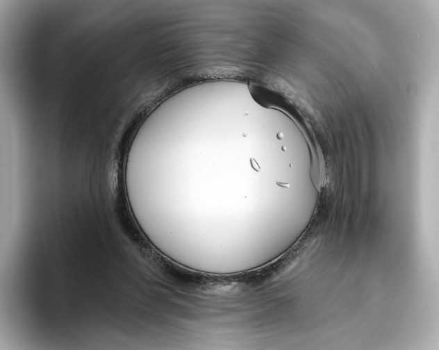 X0000096450206200802141519