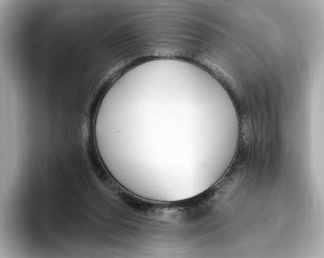 X0000096450208200802141519