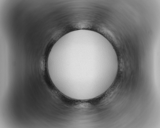 X0000096450210200802141519