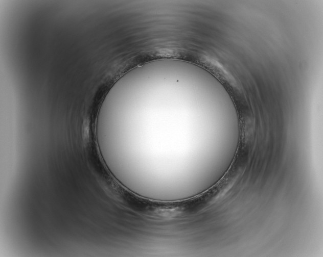 X0000096450213200802141519