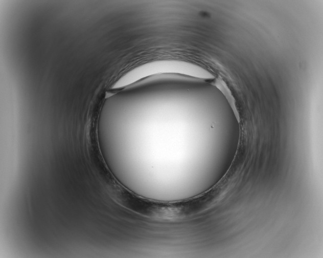 X0000096450217200802141518