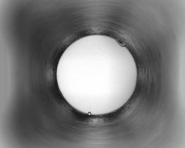 X0000096450220200802141518