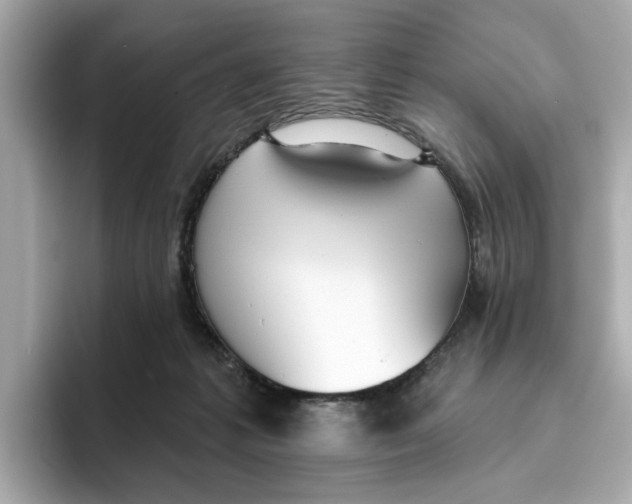 X0000096450221200802141518