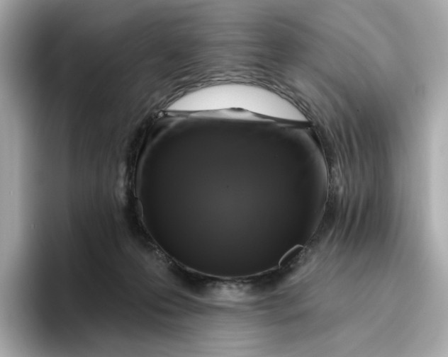 X0000096450223200802141518