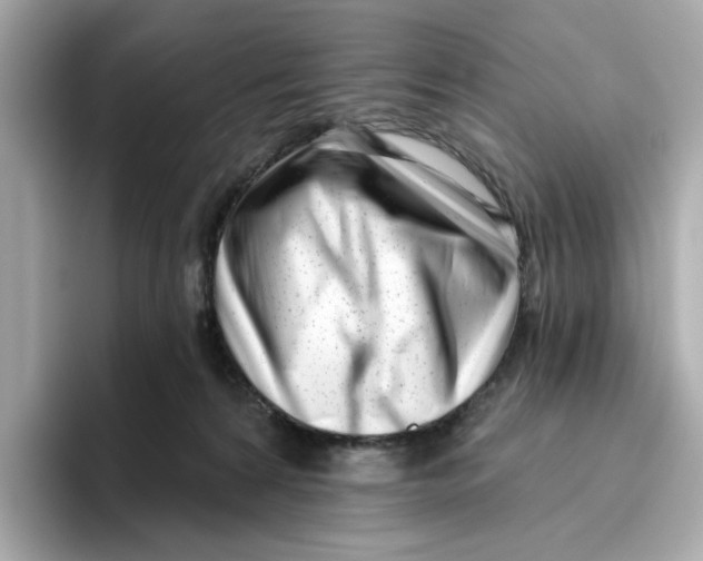 X0000096450224200802141518