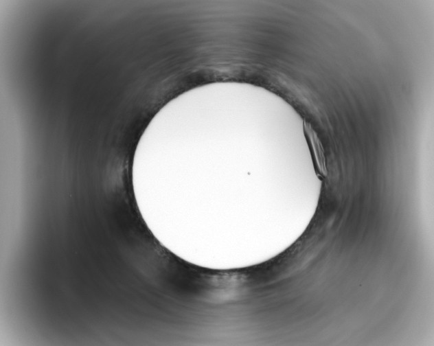 X0000096450225200802141518