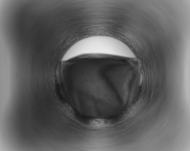 X0000096450227200802141518