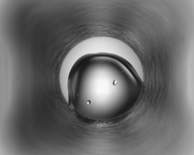 X0000096450228200802141518