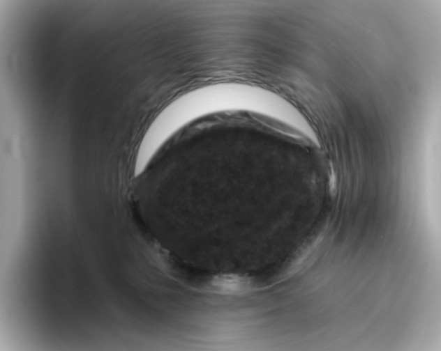 X0000096450231200802141518