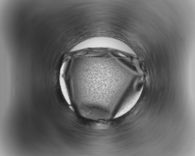 X0000096450232200802141518