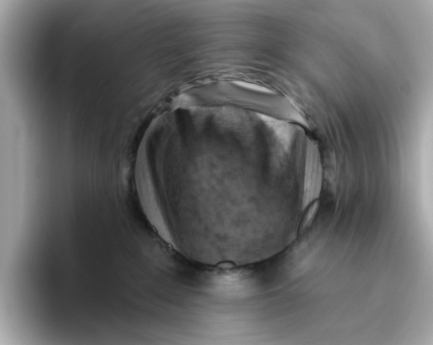 X0000096450235200802141518