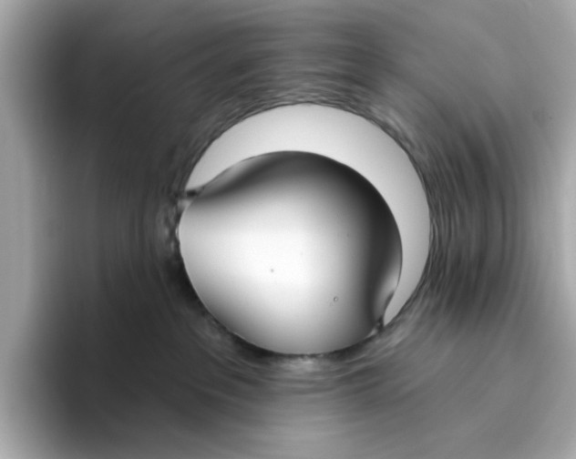 X0000096450237200802141518