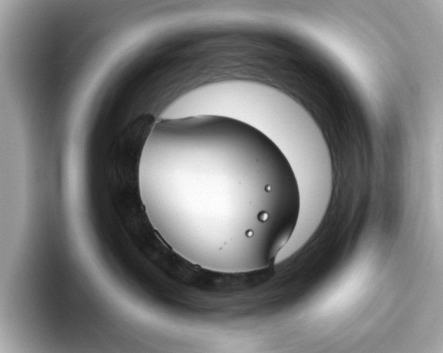 X0000096450239200802141518