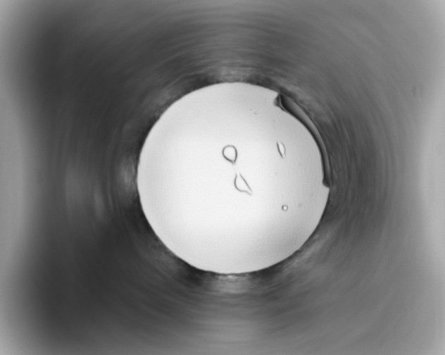 X0000096450240200802141518