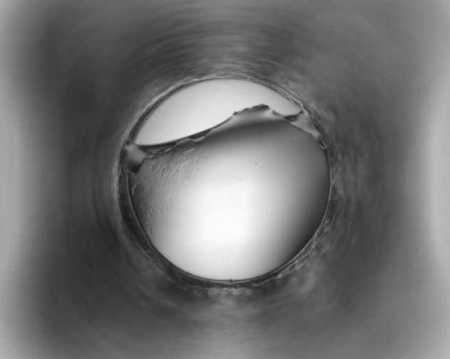 X0000096450242200802141518