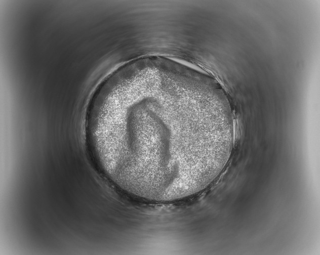 X0000096450243200802141518