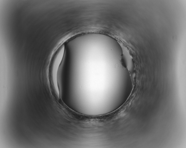 X0000096450244200802141518