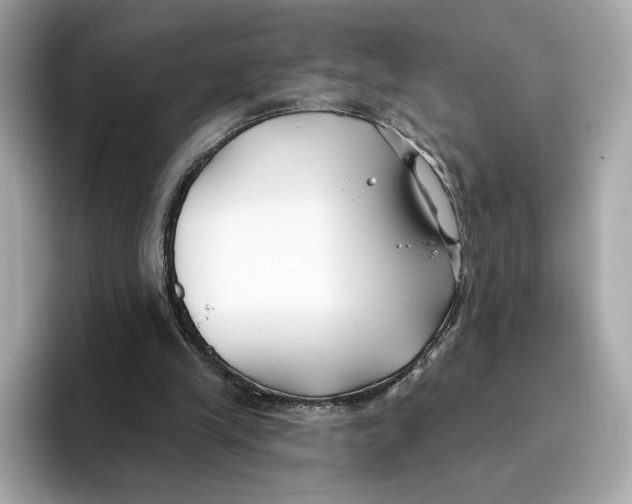 X0000096450245200802141518