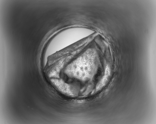 X0000096450247200802141518