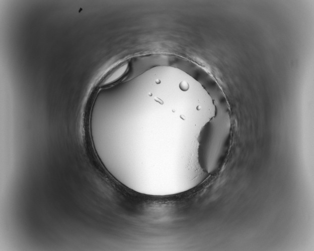 X0000096450248200802141518