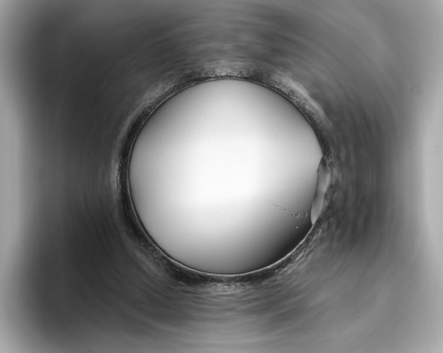 X0000096450250200802141518