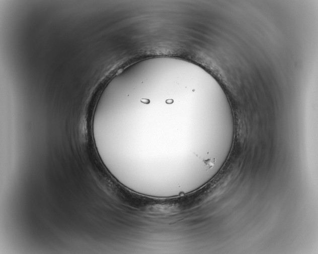 X0000096450251200802141518